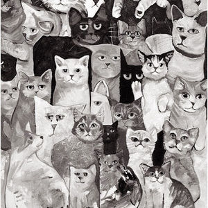 Meet your Posher, Dominique